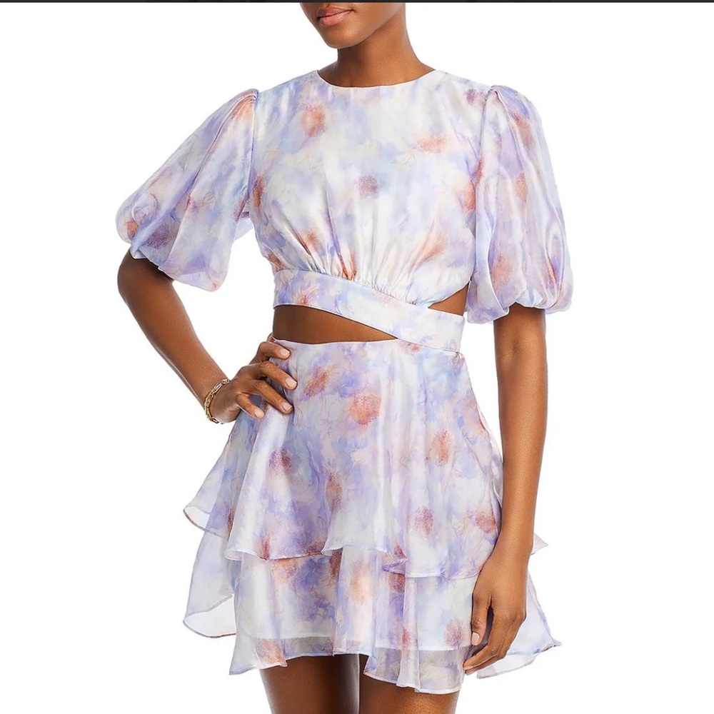Bardot dreamy chiffon dress